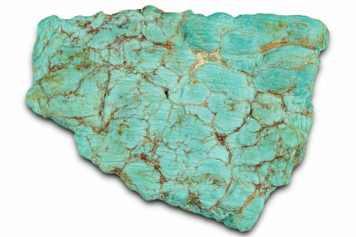 Teal Blue Chilean Turquoise Nugget ( grams) #325524